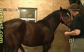 zoophile pervert, gay animal sex videos